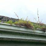 gutter cleaning