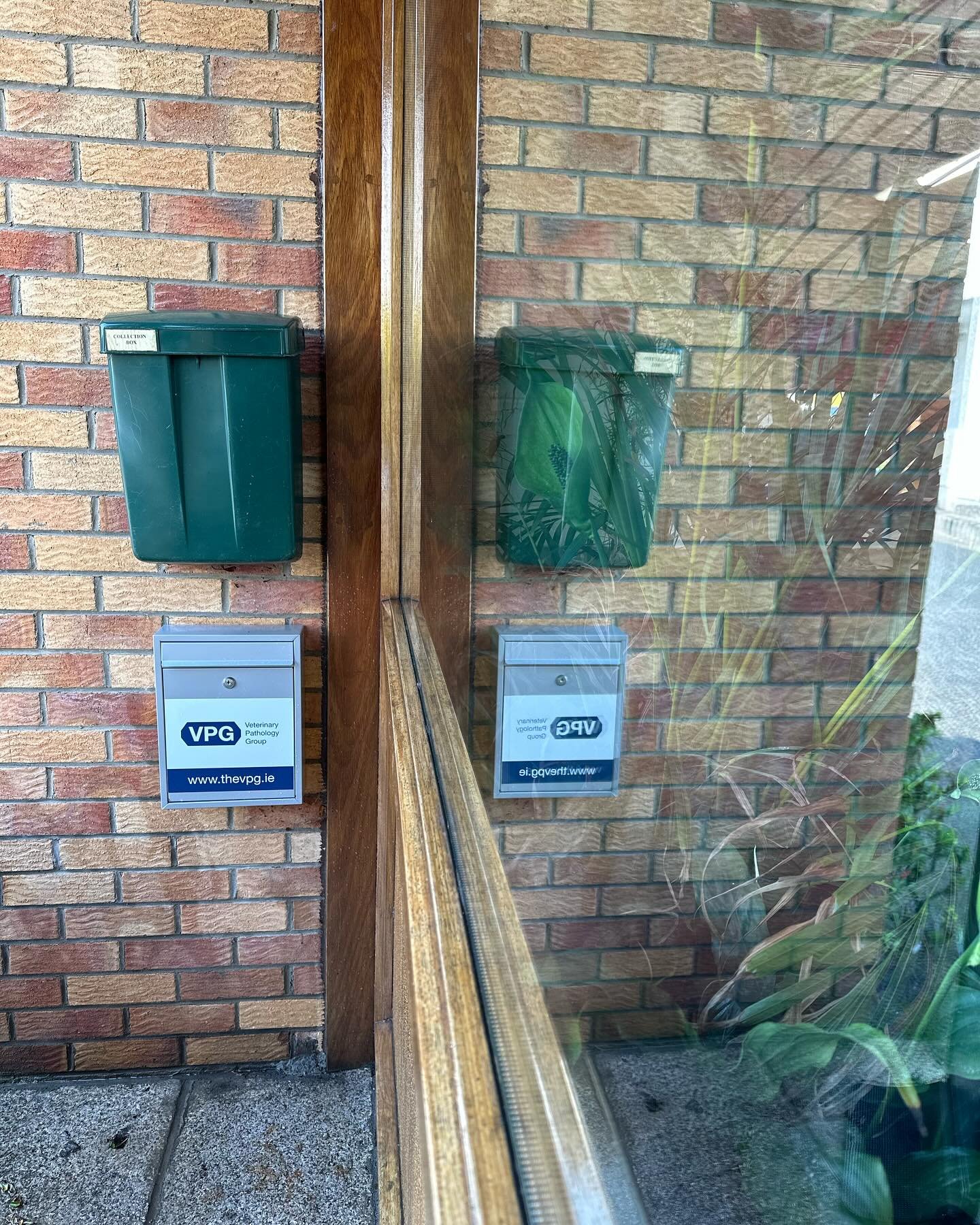 window-cleaning-3